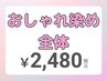 ☆ご新規様限定価格☆オシャレ染め 全体染め 2,980円→2,480円（寝屋川）
