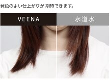 VEENAの主な特徴7. ～ヘアカラー 仕上がりの違い～