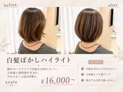 アズール 草加(azule)の写真