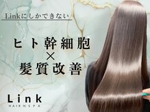 リンク(Link Hair&Spa)