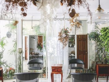 necco　【ネッコ】