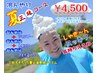 【夏限定】　冷んやり夏三昧コース