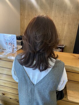 サンシップ(sun ship) ミディアムウルフ