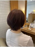 ショート/ショートボブ