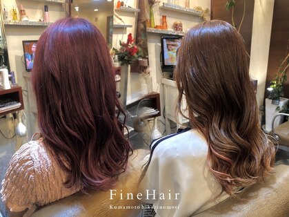 ファインヘアー(Fine Hair)の写真