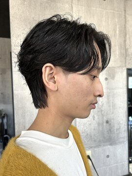 レゴリス(REGOLITH) ニュアンスパーマ, センターパート