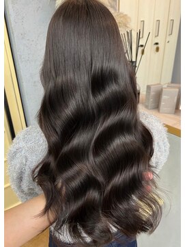 ヴェーレン(Wehlen) 大人ブラウン