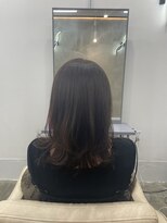 パル(PAL)&nbsp;レイヤー