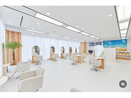 スウェル(SWELL)の写真