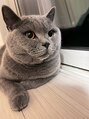 ヘアーメイクメアリーアン(Hair make Mary ann) 愛猫ブリちゃん、3歳の女の子、ツンデレ