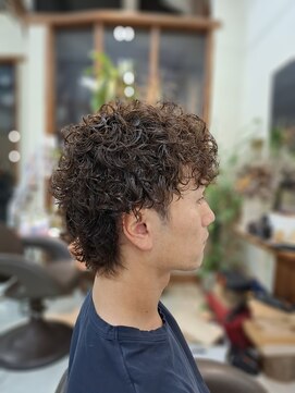 アクアゾーン メンズマッシュウルフパーマ