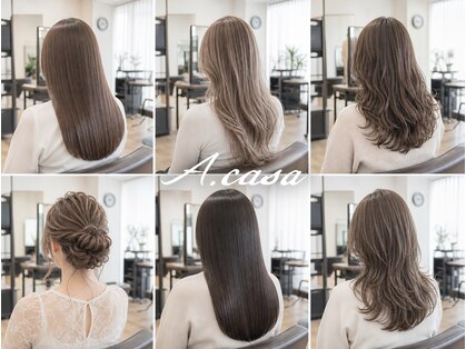 アカサ(A.casa)の写真