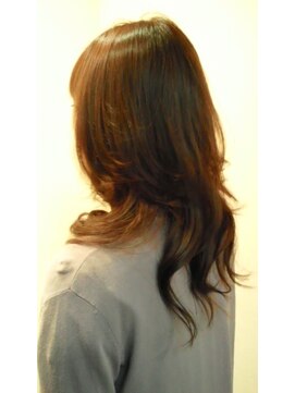 シェフィールド(sheffield) ナチュラルカール