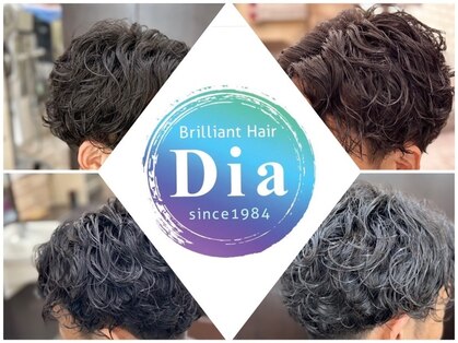 ブリリアント ヘアー ダイヤ(Brilliant Hair Dia)の写真