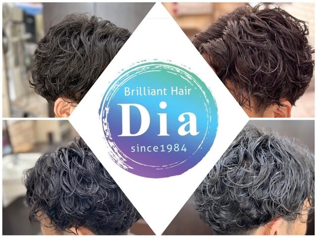 ブリリアント ヘアー ダイヤ(Brilliant Hair Dia)