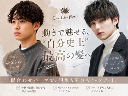 チャチャブラン(cha-cha Blanc)の写真