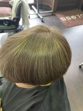 ヘアデザイン グロス(Hair Design GLOSS) ヒカリナスカラー