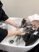 ハーティー(Hearty)
