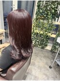 ラベンダーカラー　2023/10/19