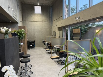 コティ(Kotii)の写真
