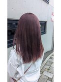 ピンクラベンダー【ダブルカラー】