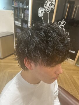 アノ(Ano.) ウルフ×ツイスパ