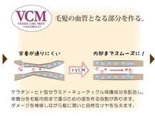 《ベセルCMCミスト》毛髪の血管となる部分を作る。
