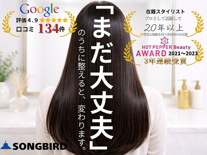 ソングバード(SONG BIRD)の写真