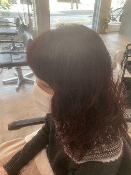 サイズ(SAIS) レッドブラウン