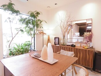 SHELHA　【シェルハ】