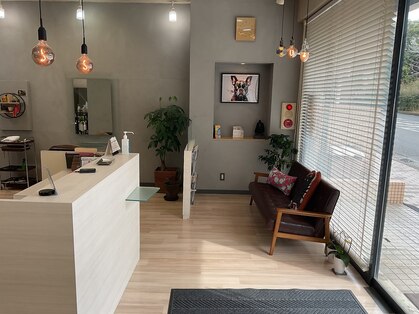 ダンプヘアー(Dump hair)の写真