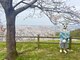 メグル(MEGURU,)の写真