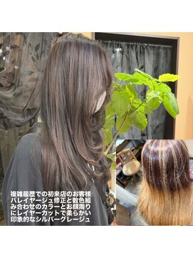 エルメホル(el mejor) バレイヤージュメテオトリートメントカラー(和漢カラー使用)