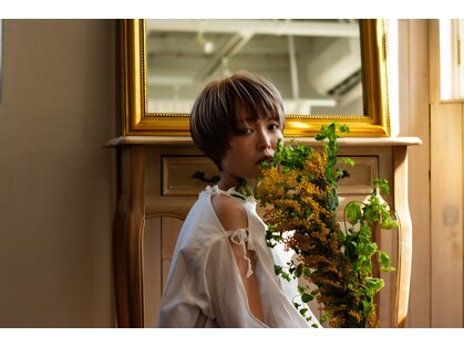 アオノハの写真