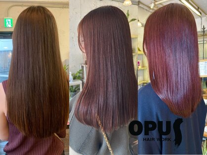 ヘアワークオーパス 吉祥寺(HAIR WORK OPUS)の写真