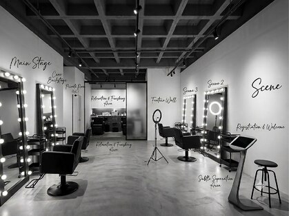 SCENE 船橋/バレイヤージュ/ハイライト/白髪ぼかし/ブリーチ/髪質改善【8/2OPEN予定】の写真