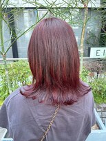 エイゾー(EIZO)&nbsp;【ゼロテクカラー】チェリー×ブラウン