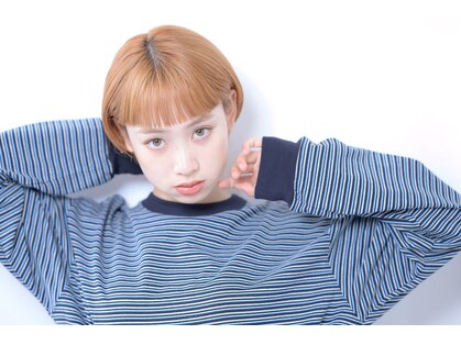 アーティクル(Article)の写真