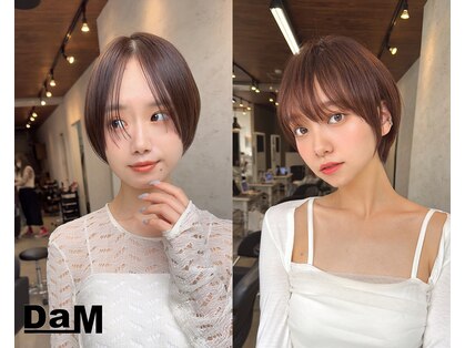 ダム(DaM)の写真