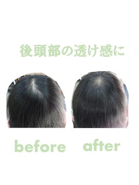 シャムロック(Shamrock) エクステ