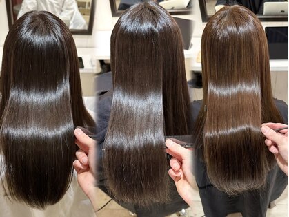 ハシゴ(hasigo.)の写真