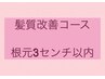 【髪質改善コース】根元3センチまで