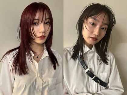 ノラ シブヤ(NORA)の写真
