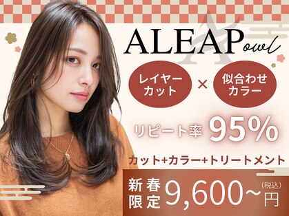 アリープアウル(ALEAP owl)の写真