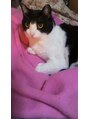タイガ 上野御徒町(TAIGA) 猫が大好きです♪