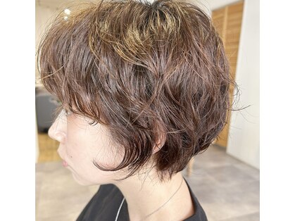 スナオ(sunao)の写真