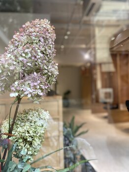 トーフ(tohf)の写真/tohfができること。