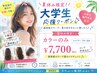 ★夏休み限定★大学生応援カラー