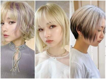サンティエ(scintiller)の写真