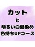 カットと明るい白髪染め：Stop白髪クレンジング+色持ちUPコース　￥12670